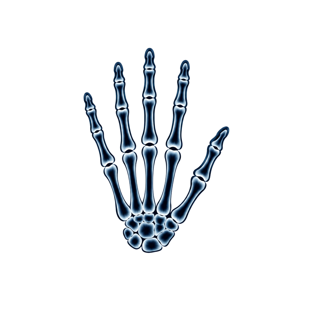 Röntgen-Hand – Skelett-Illusion Halloween Fake Tattoo 1 Röntgen-Hand Halloween Fake Tattoo